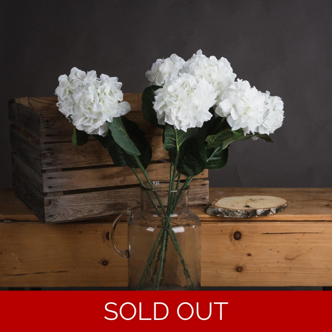 product Image for White Small Head Hydrangea